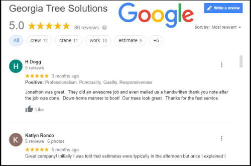 Read our Reviews