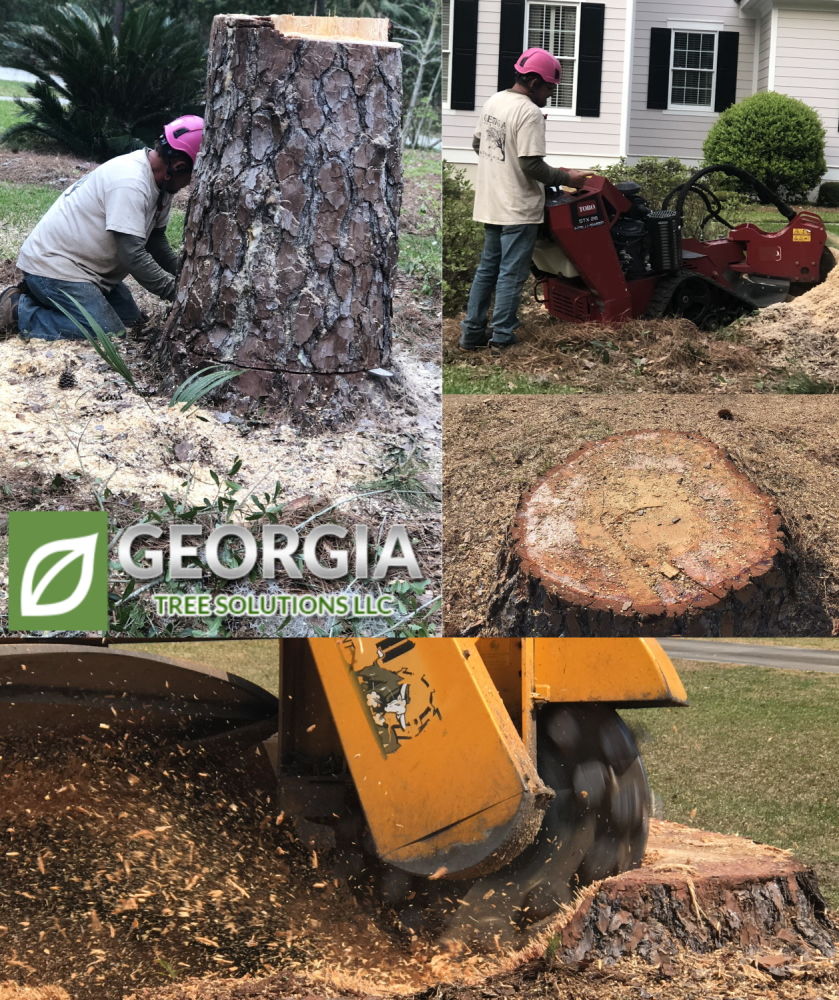 Stump Grinding - Tree Services Savannah Georgia